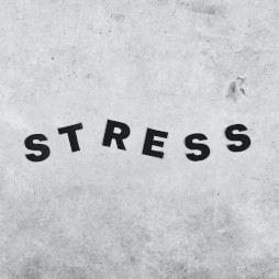 Gérer le stress au quotidien